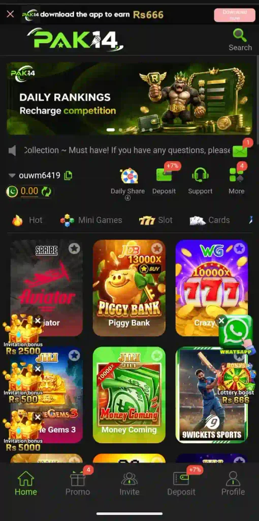 Pak14 Game