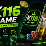 K116 Game
